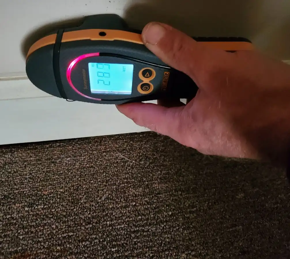 Moisture detection at baseboard during Sewage Cleanup & Sanitation in Vernon